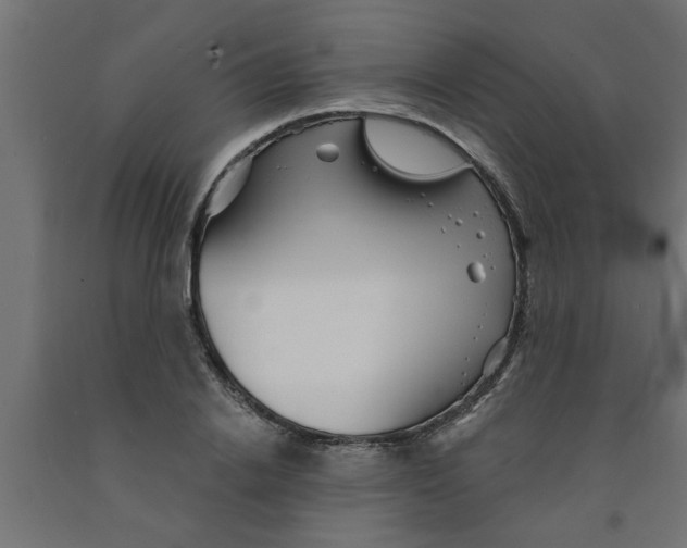 X0000090870838200708241918