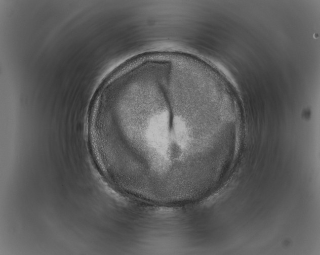 X0000090870839200708241918