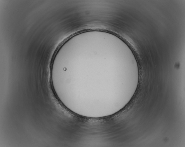 X0000090870840200708241918