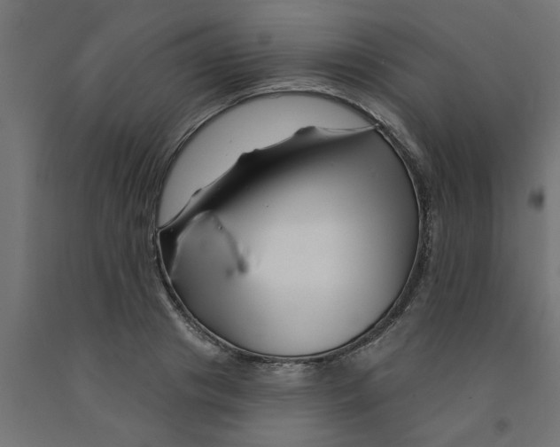 X0000090870841200708241918