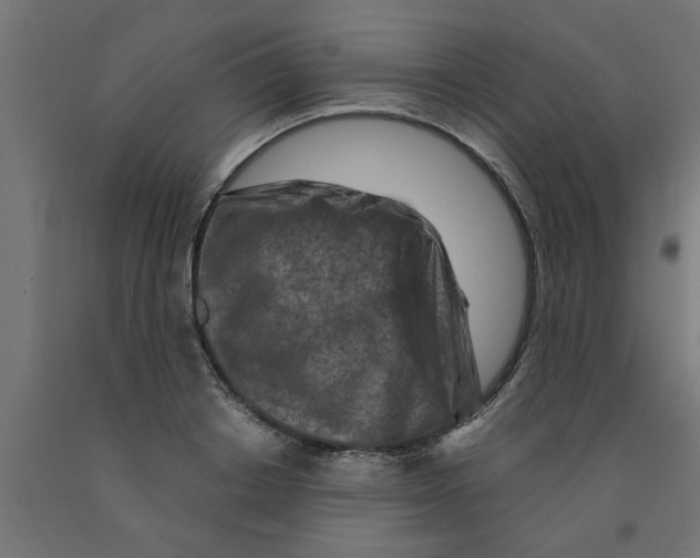 X0000090870842200708241918