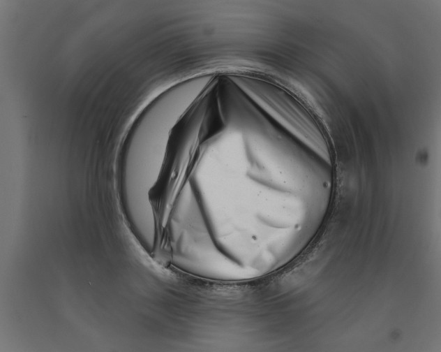 X0000090870843200708241918