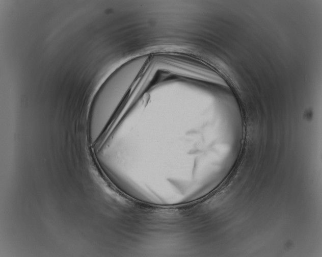 X0000090870844200708241918