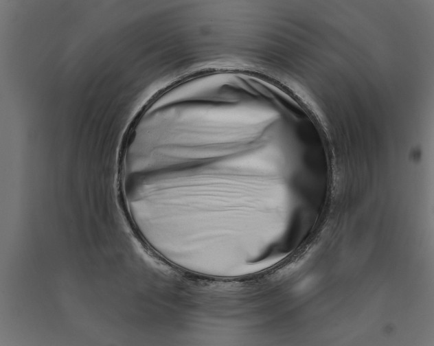 X0000090870845200708241918