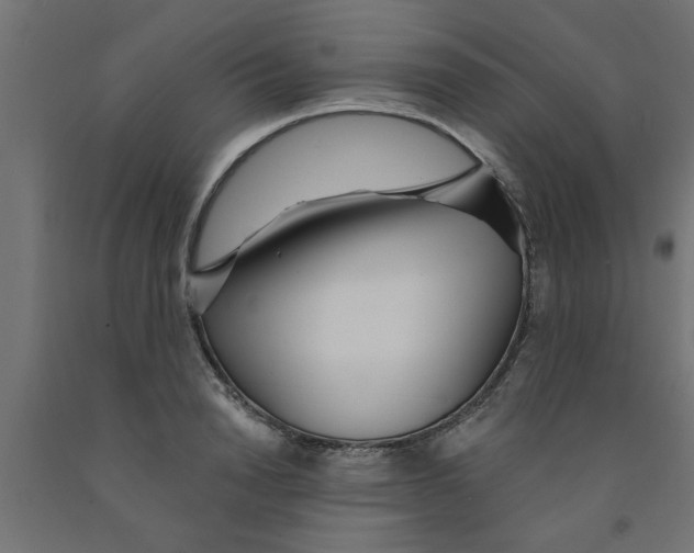 X0000090870846200708241918