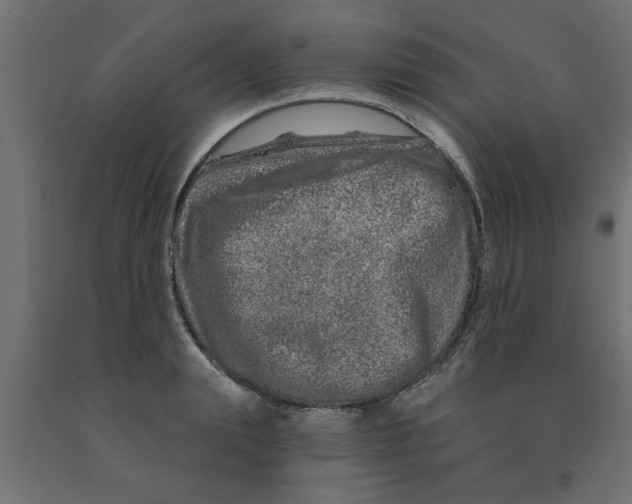 X0000090870847200708241918