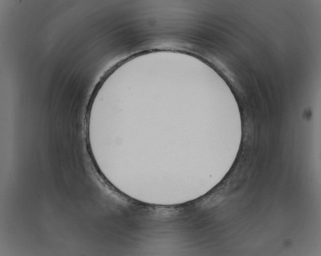 X0000090870848200708241918