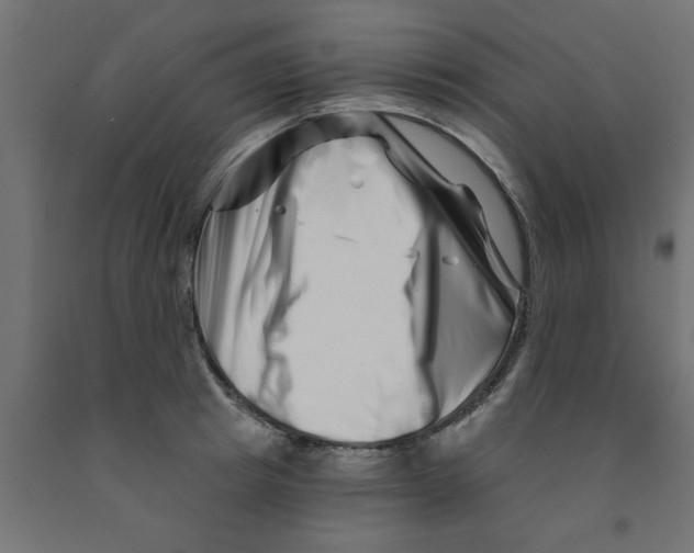 X0000090870849200708241918