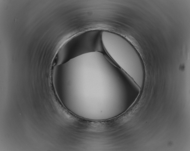 X0000090870850200708241918