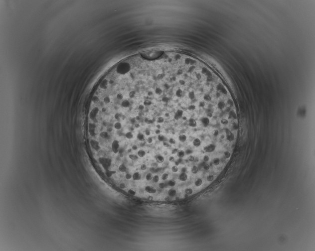 X0000090870851200708241918