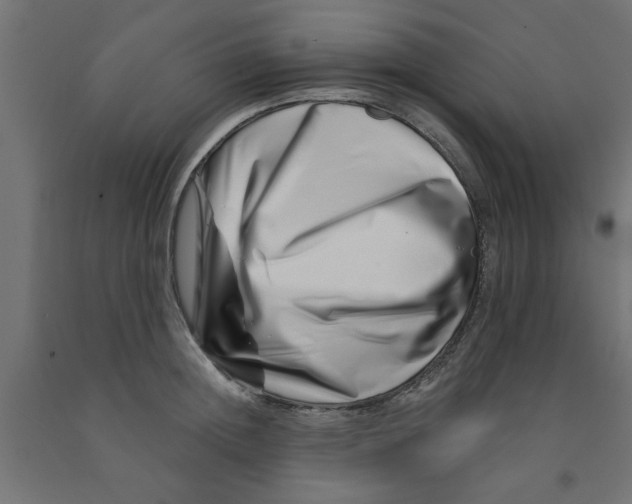 X0000090870852200708241918