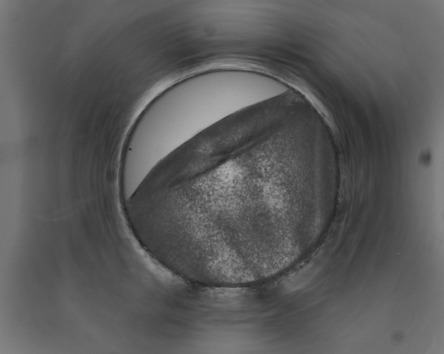 X0000090870853200708241918