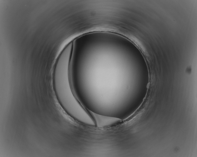 X0000090870854200708241918