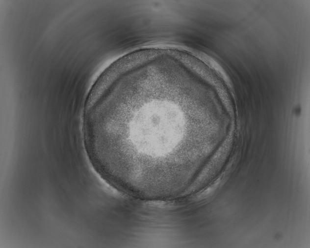 X0000090870855200708241918