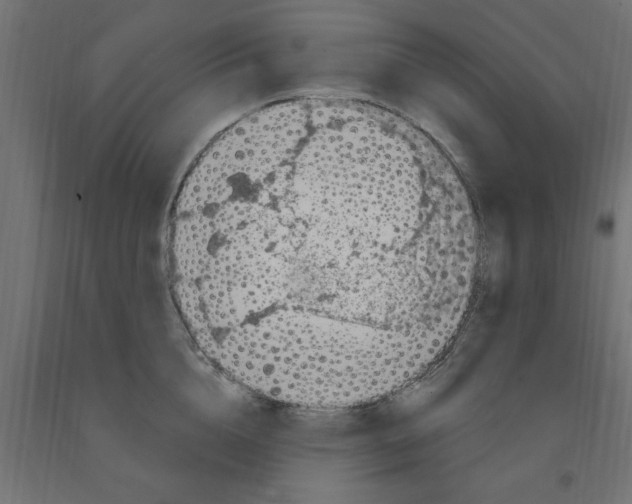 X0000090870856200708241918