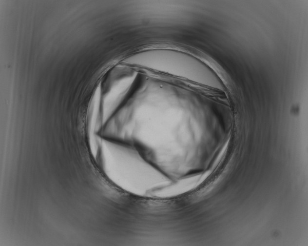 X0000090870857200708241918