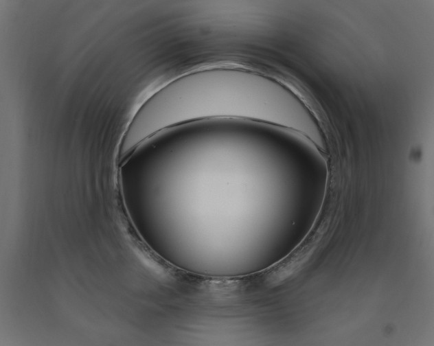 X0000090870858200708241918