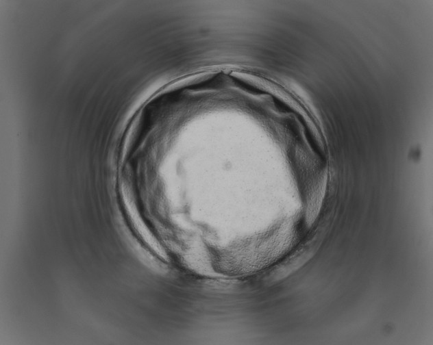 X0000090870859200708241918