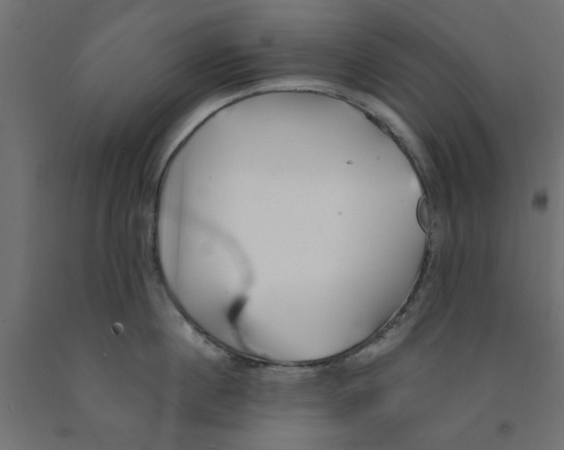 X0000090870860200708241918