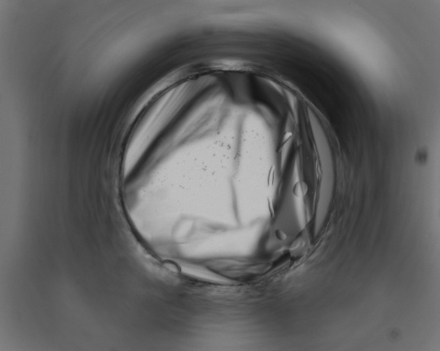 X0000090870861200708241918