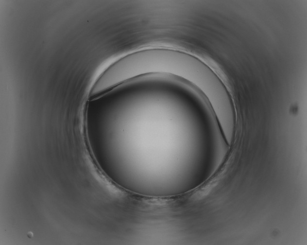 X0000090870862200708241918