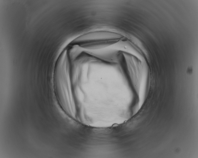 X0000090870863200708241918