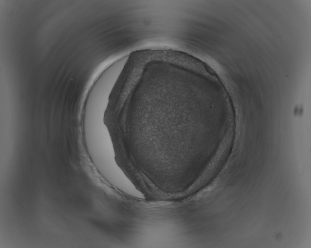 X0000090870864200708241918