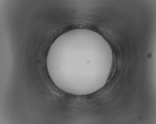 X0000090870865200708241918