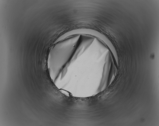 X0000090870868200708241918