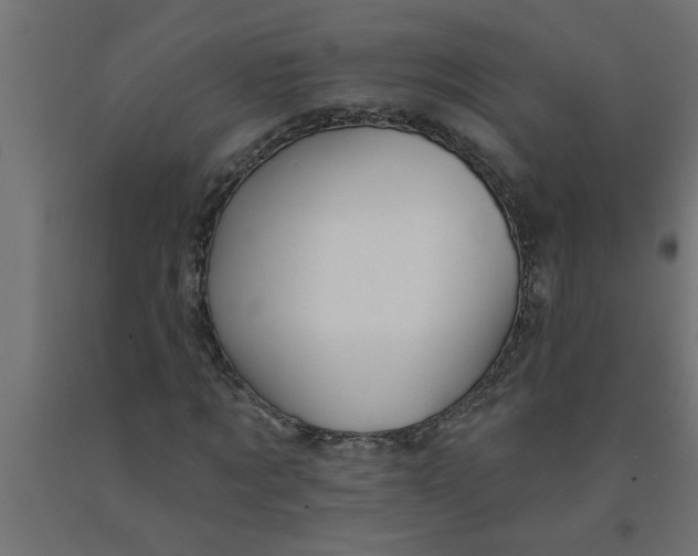 X0000090870869200708241918