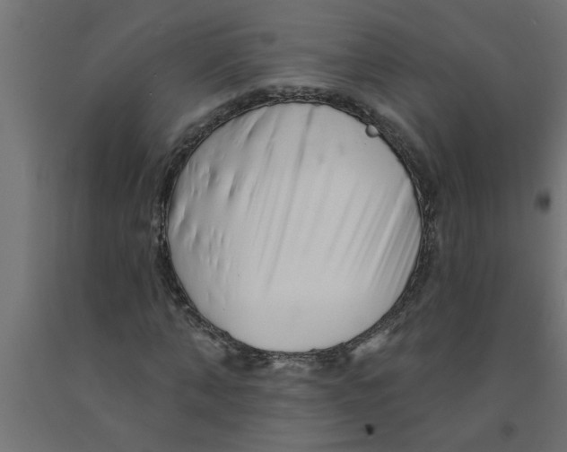 X0000090870870200708241918