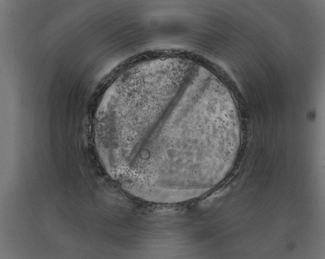 X0000090870871200708241918