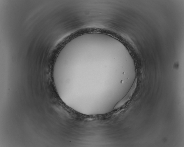 X0000090870872200708241918