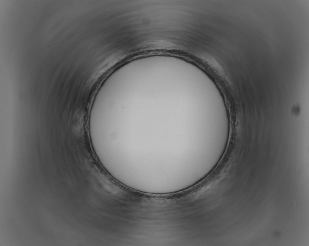 X0000090870873200708241918