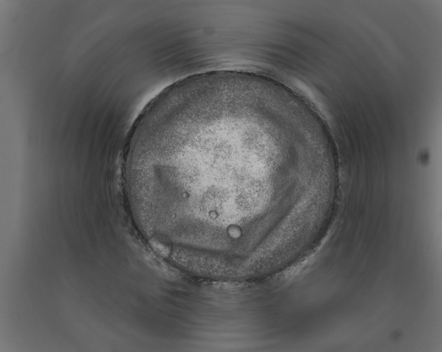 X0000090870875200708241918