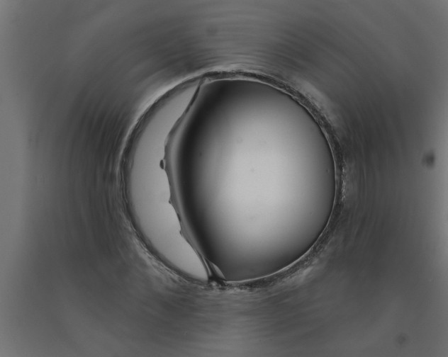 X0000090870876200708241918