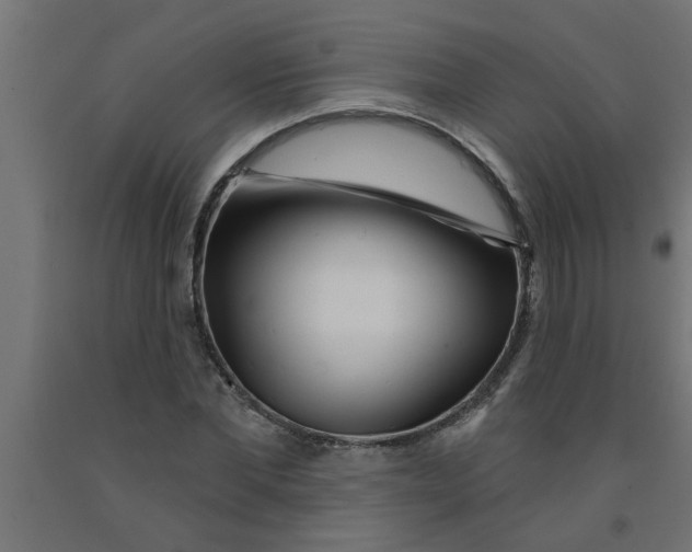 X0000090870877200708241918