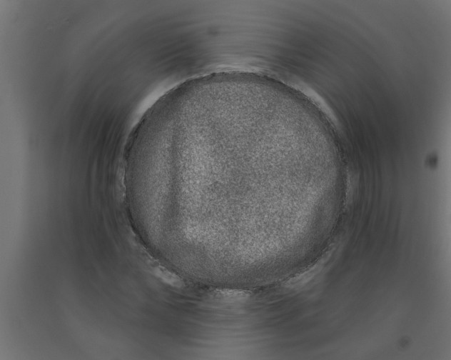 X0000090870878200708241918