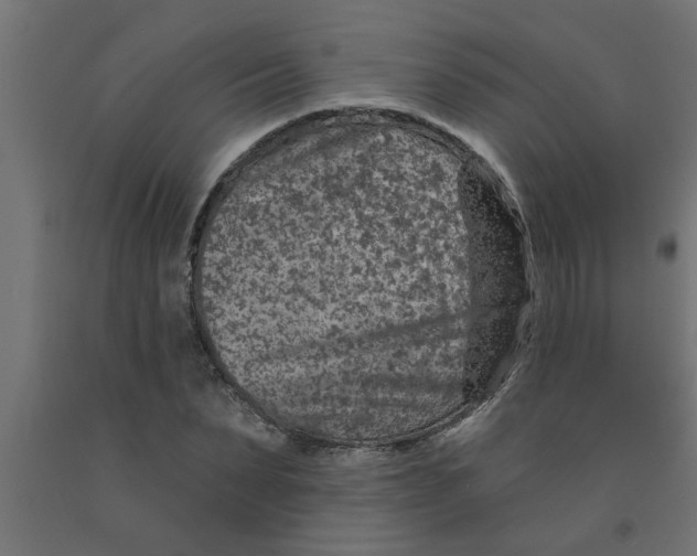 X0000090870879200708241918