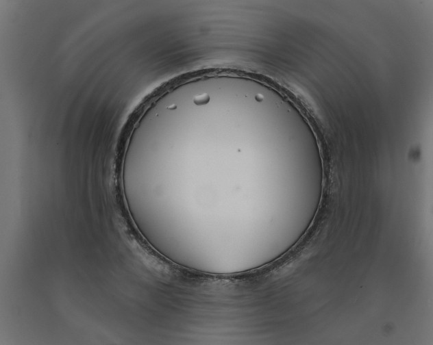 X0000090870880200708241918