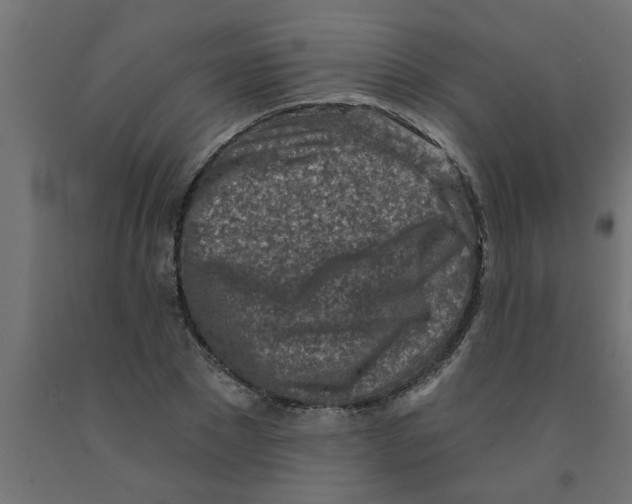 X0000090870881200708241918