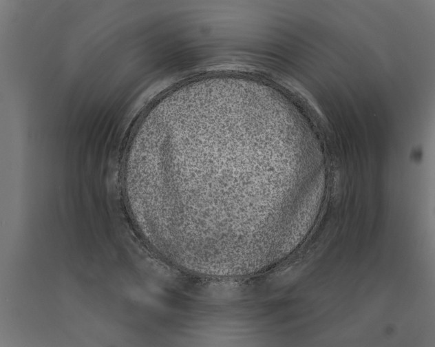 X0000090870882200708241918