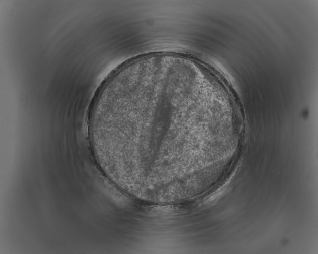 X0000090870883200708241918