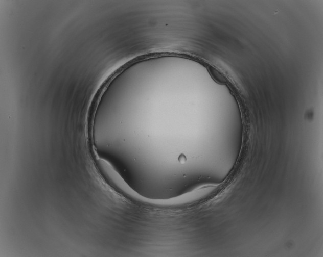 X0000090870884200708241918