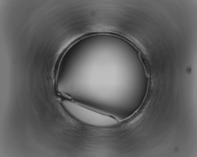 X0000090870885200708241918