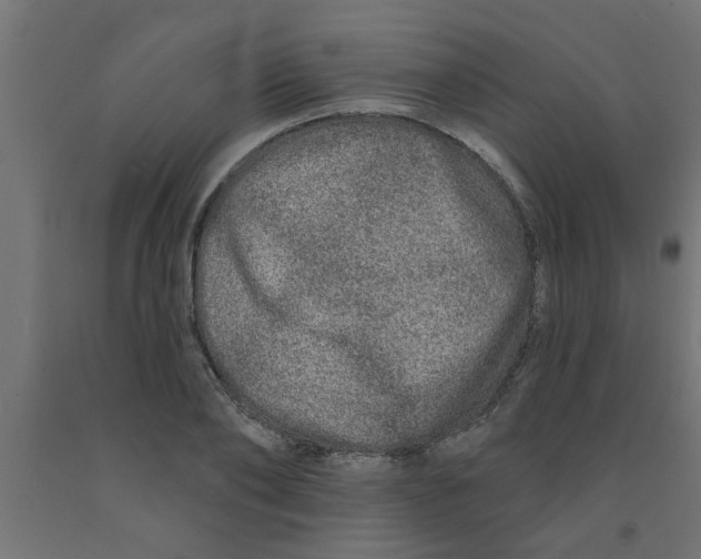 X0000090870886200708241918