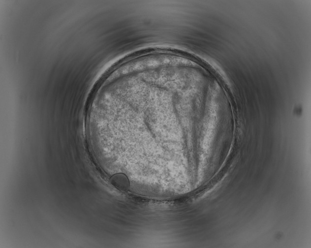 X0000090870887200708241918