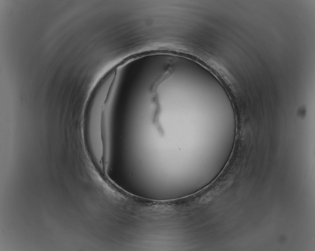 X0000090870888200708241918