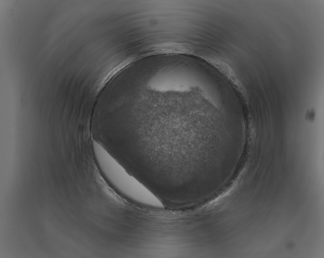 X0000090870889200708241918