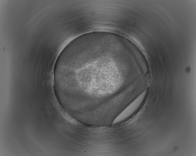 X0000090870891200708241918